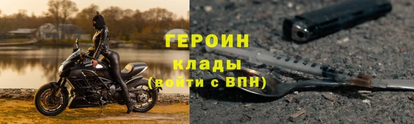 сатива Беломорск