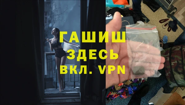 сатива Беломорск