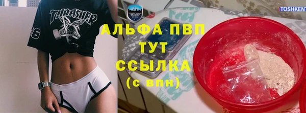 спиды Белокуриха
