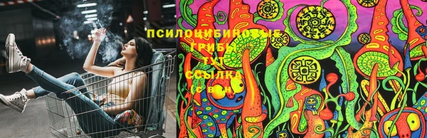 спиды Белокуриха