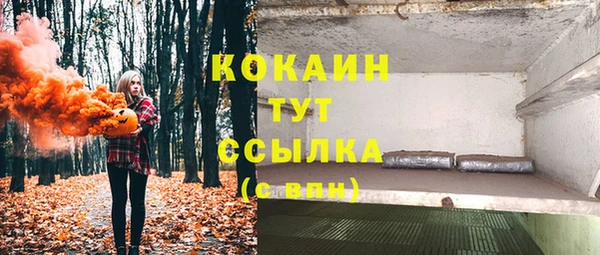 сатива Беломорск