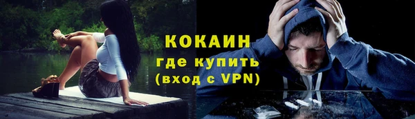 сатива Беломорск