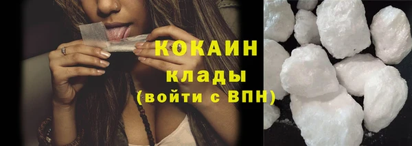 сатива Беломорск