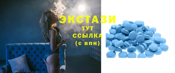 сатива Беломорск