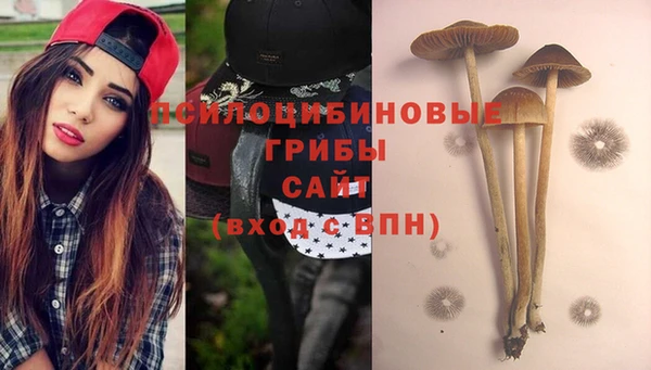 спиды Белокуриха