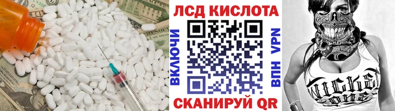 блэк спрут как войти  Павловская  Лсд 25 экстази кислота 